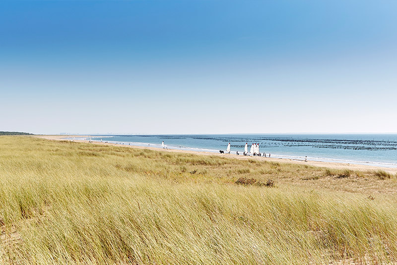 camping bord de mer vendée